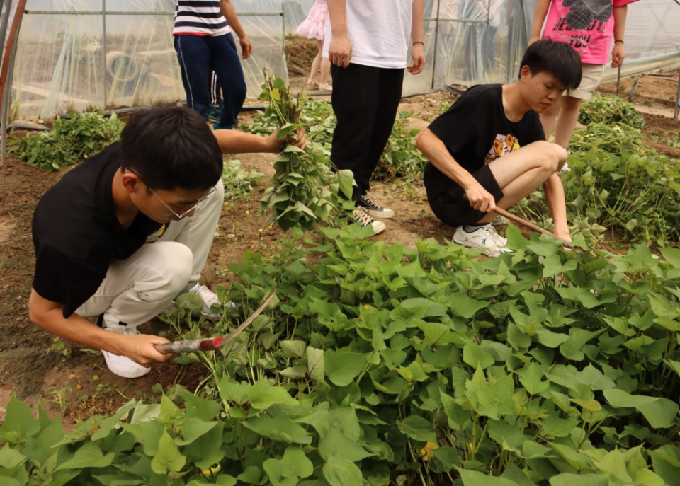 ľ˹ũѧԺ_һũѴѧоԺ_ũѿƼѧԺ